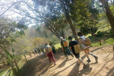 Chiang Mai Private Tour with Tea Plantation, Karen Village, Doi Suthep - How the 8-hour flow actually feels from morning pickup