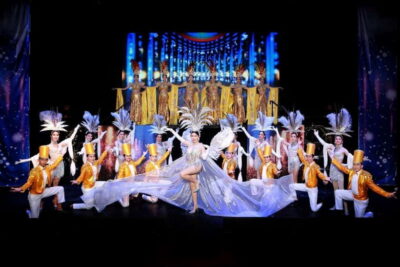 Chiang Mai: Siam Dragon Cabaret Show with Optional Transfer - VIP vs Standard: Where you should sit