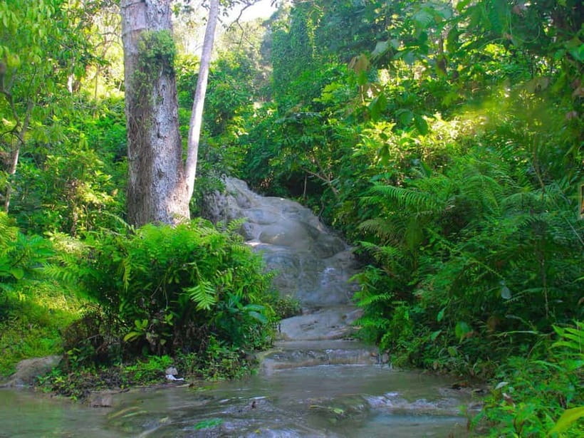 Chiang Mai: Sticky Waterfall by Local Truck with Market Stop - Should You Book This Sticky Waterfall Tour or Not?