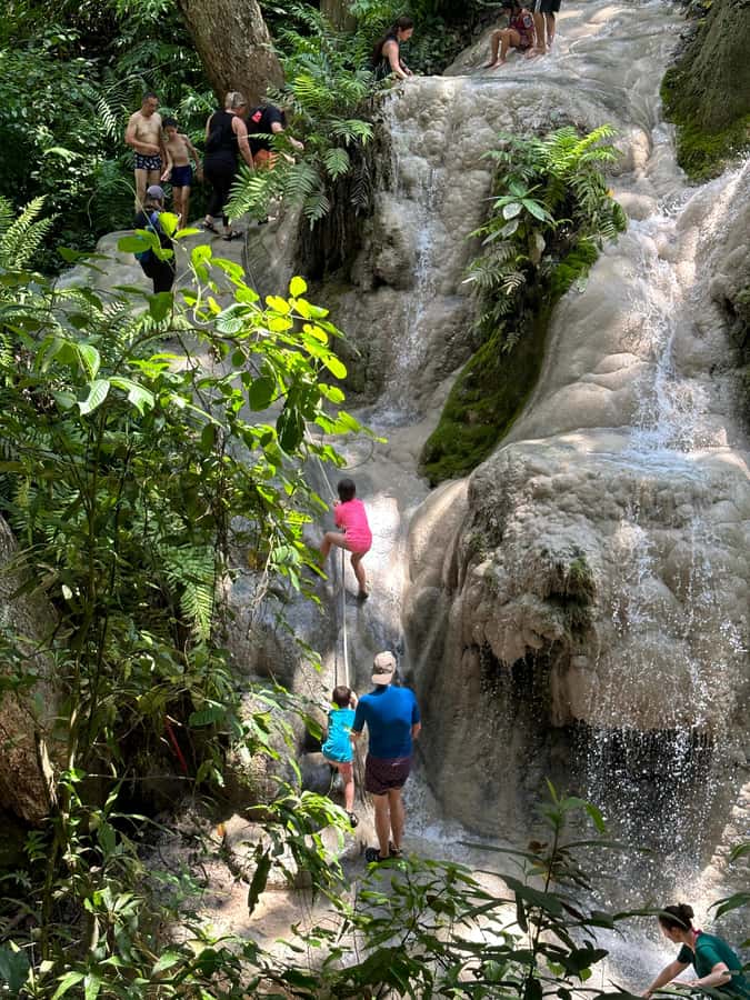 Chiang Mai : Sticky waterfall (Half Day Tour) Hotel Transfer - The Waterfall Time: What You Actually Do Once You Arrive