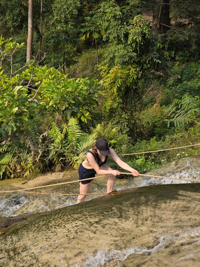Chiang Mai : Sticky waterfall (Half Day Tour) Hotel Transfer - No Guide Included: The Upside and the One Real Catch