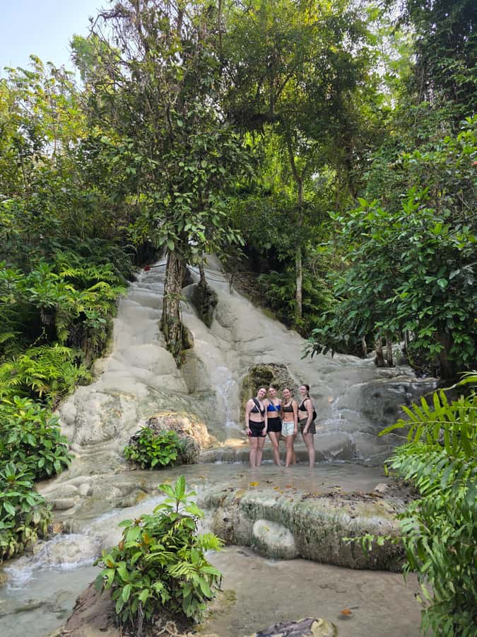 Chiang Mai : Sticky waterfall (Half Day Tour) Hotel Transfer - Who Should Skip This Trip (and Who It Fits Best)