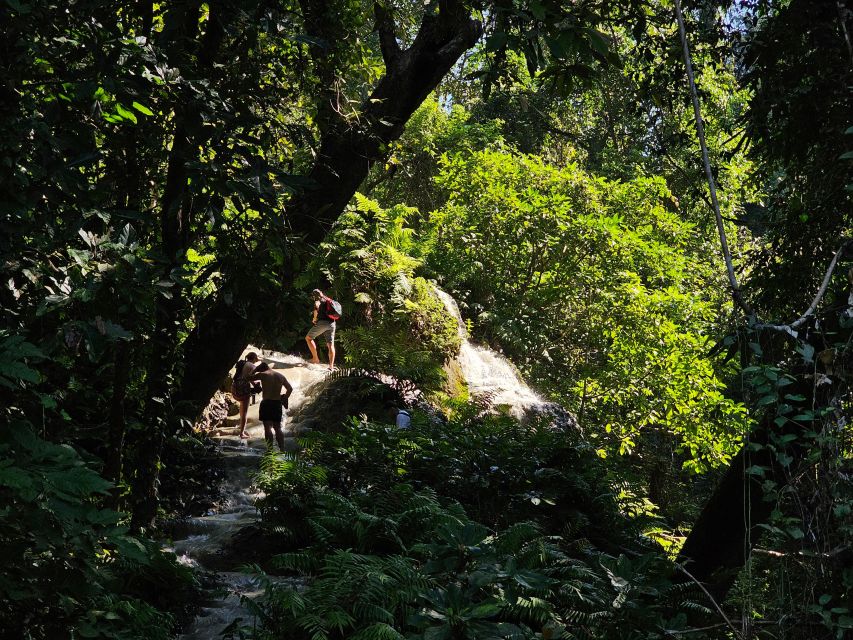 Chiang Mai: Sticky Waterfall Half-Day Tour & Hotel Transfers - Songthaew Pickup in Central Chiang Mai: Getting to Bua Thong Fast