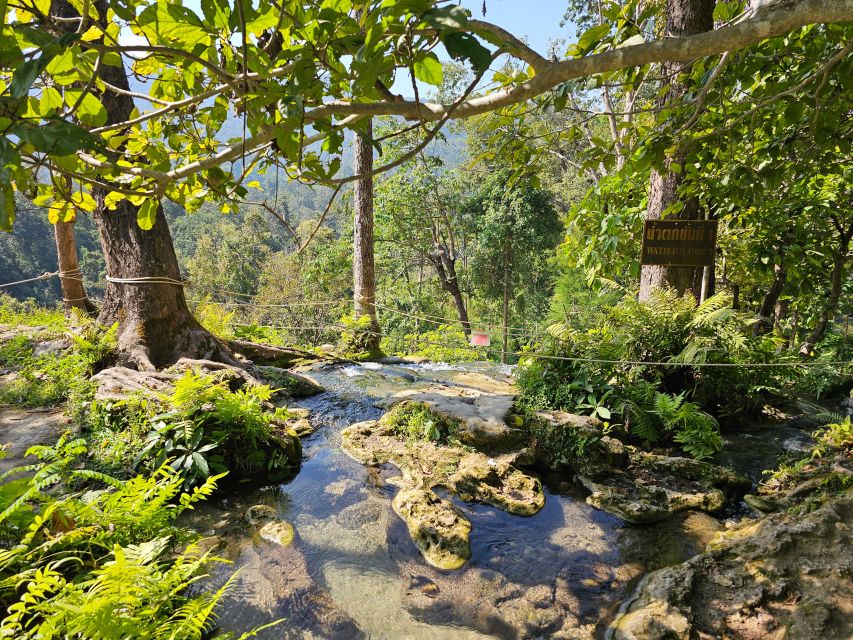 Chiang Mai: Sticky Waterfall Half-Day Tour & Hotel Transfers - Climbing the Sticky Waterfall Without a Guide: What the Route Feels Like