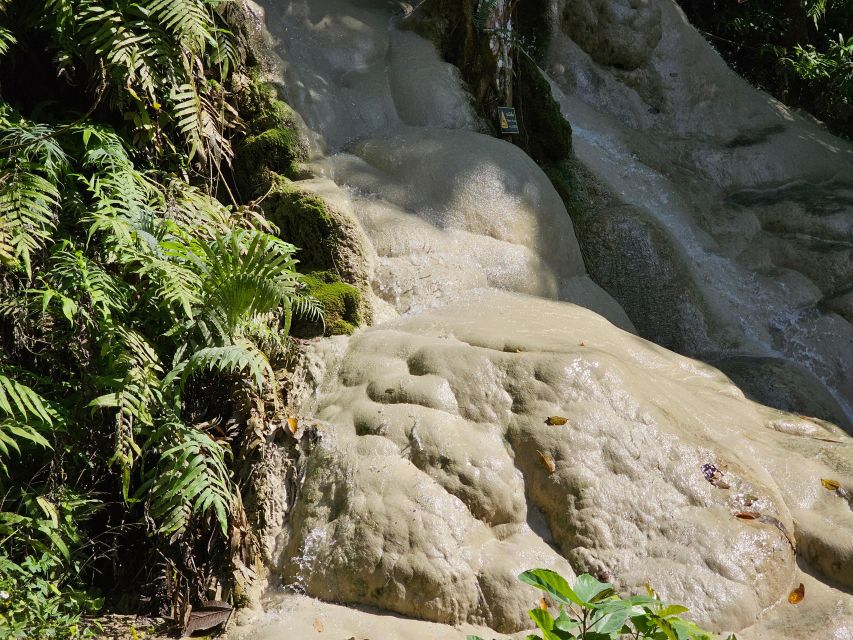 Chiang Mai: Sticky Waterfall Half-Day Tour & Hotel Transfers - Two Hours at the Falls: Why Timing Really Changes Your Trip