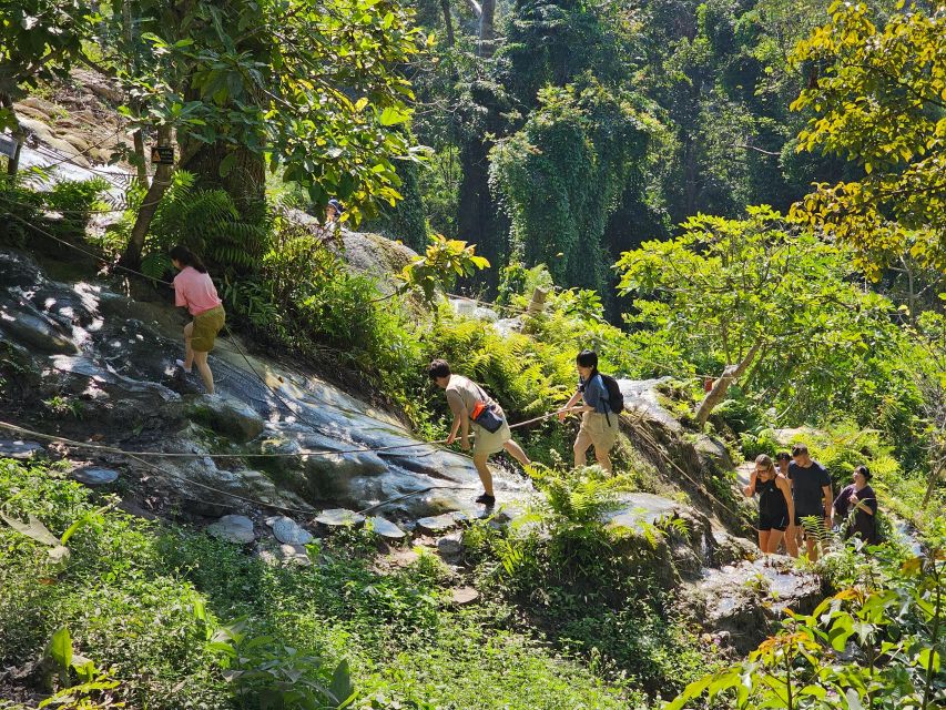 Chiang Mai: Sticky Waterfall Half-Day Tour & Hotel Transfers - What to Pack (and What to Skip) for Sticky Steps and Wet Photos