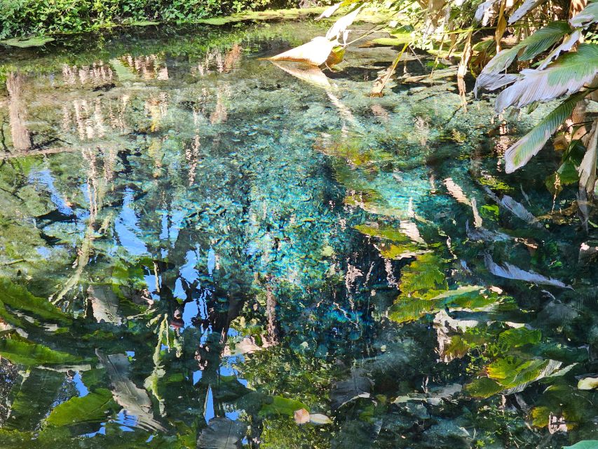 Chiang Mai: Sticky Waterfall Half-Day Tour & Hotel Transfers - Temple Stops, Driver Vibes, and How the Day Can Vary