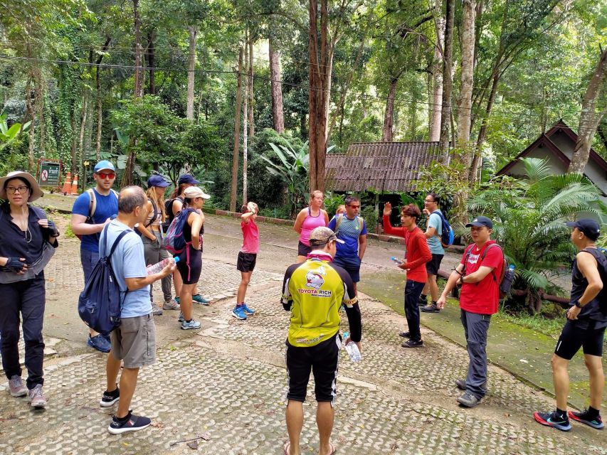 Chiang Mai: Suthep National Park Hiking & DH Mountain Biking - The 11 km Jungle Climb to Doi Pui Summit (About 1400m)