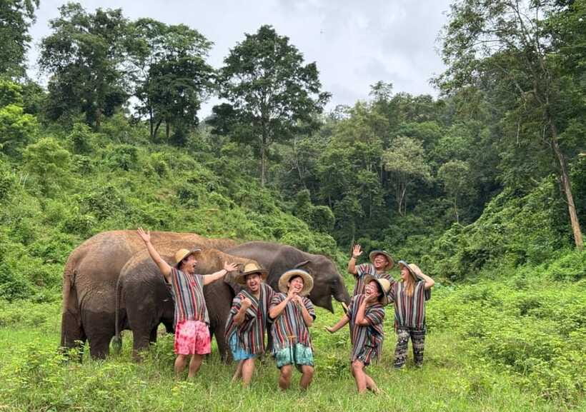 Chiang Mai | TeeTee Elephant Home Elephant Care Half-Day - Who should book this half-day (and who might prefer the full-day option)
