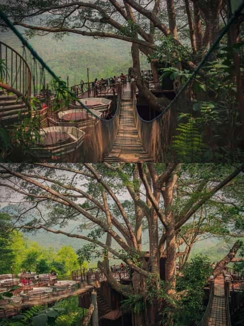 Chiang Mai: The Giant Café & Mae Kampong Village Day Trip - Chiang Mai to Mae Kampong: how the drive sets the tone