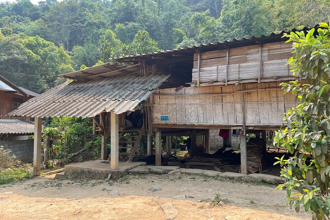 Chiang Mai to Doi Inthanon Full Day Shared Tour - Ang Ka Nature Trail: the short walk that doesn’t feel like a chore