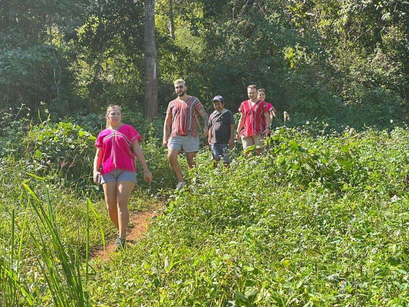 Chiang Mai Untouched Elephant: Nature Walk & Waterfall Trek - Who should book this elephant nature walk and trek?
