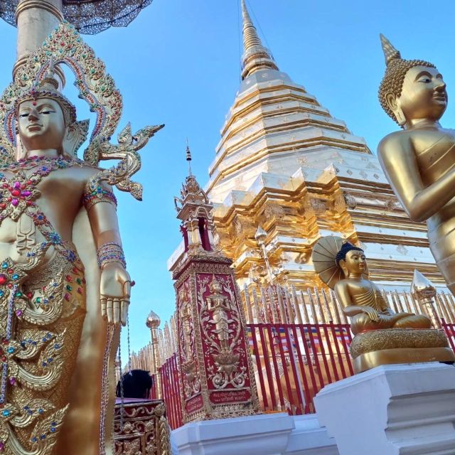 Chiang Mai: Wat Pha Lat & Wat Phra That Doi Suthep Tour - How this evening schedule makes Doi Suthep more worth your time