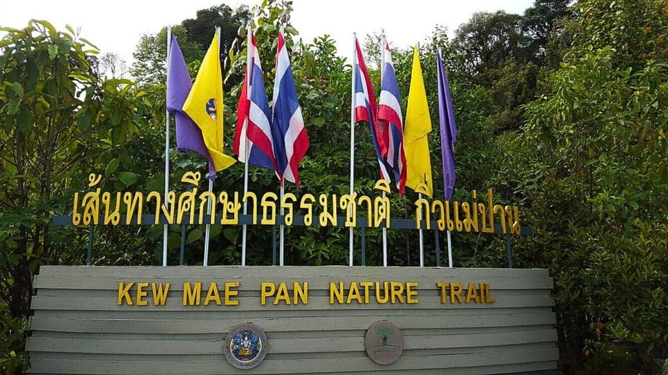 Chiang Mai:Doi Inthanon National Park & Hike at Kew Mae Pan - Price and logistics: getting value without getting surprised