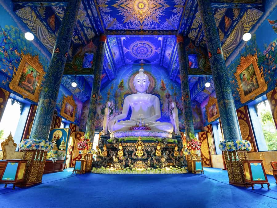 Chiang Rai White Temple and Blue Temple Day Tour - DOI CHAANG Caffè Maesuai: the small stop that helps the rest of the day