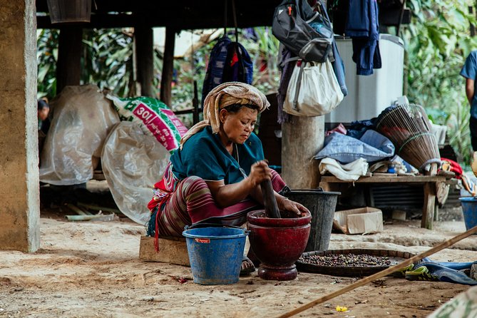 City Escape: Doi Inthanon & Karen Village Private Day Trip - Price and Value: What You’re Really Paying For at $224.94