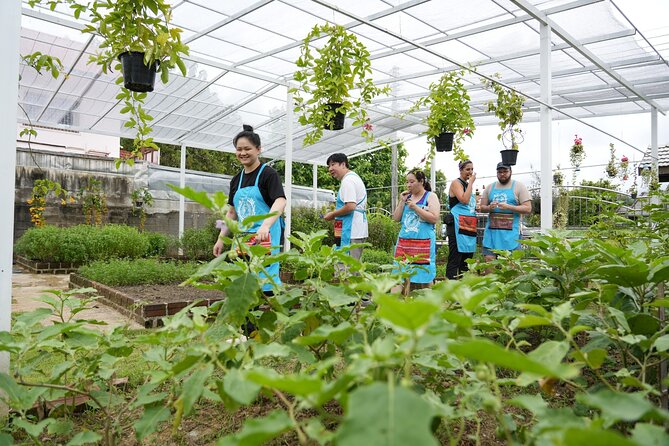 Cooking Class with Organic Farm in Chiang Mai at Mama Noi - Pickup, timing, and the feel of a small group