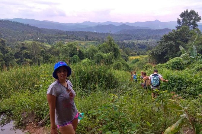 Doi Inthanon Day Trip:Twin Pagodas,Soft Hiking,Coffee Plantation - Pickup and the drive out of Chiang Mai Old Town