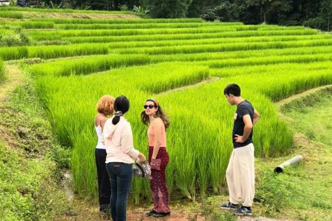 Doi Inthanon Day Trip:Twin Pagodas,Soft Hiking,Coffee Plantation - Price and value: what $43.15 covers (and what doesn’t)