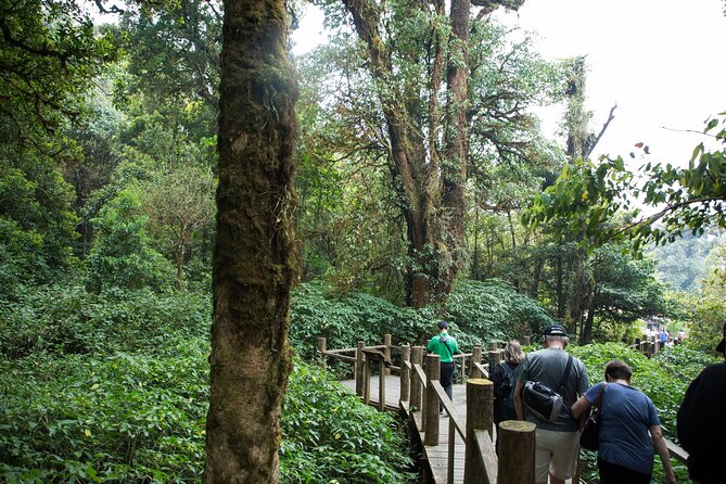 Doi Inthanon National Park Eco-Friendly Full Day Tour - The weather factor: views can change fast