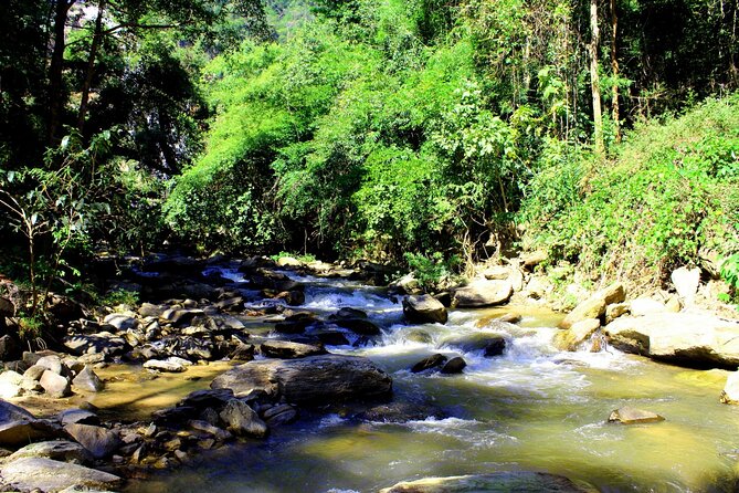 Doi Inthanon National Park, Waterfall & Royal Project Day Tour From Chiang Mai - Sirithan Falls: A Different Flow and a More Relaxed Pace