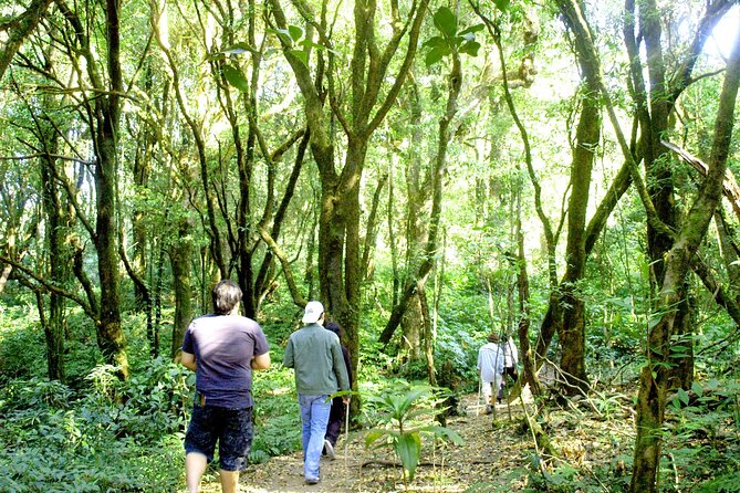 Doi Inthanon National Park, Waterfall & Royal Project Day Tour From Chiang Mai - Price and What You Still Pay: National Park and Royal Pagoda Tickets