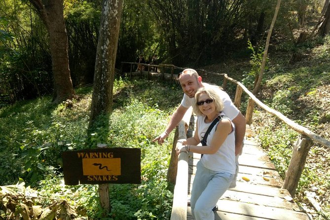 Doi Suthep Temple and Bau Thong Waterfalls Private Tour - Timing, transport, and comfort: where private tours shine