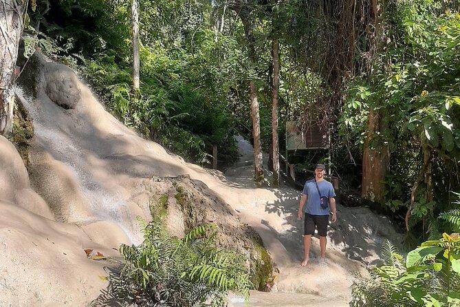 Doi Suthep Temple, Pha Lat Temple, Sticky Waterfall, Orchid farm - Orchid and Butterfly Farm: a colorful reset before the wet part