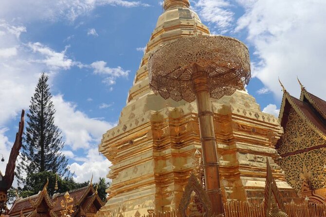 Doi Suthep Temple, Pha Lat Temple, Sticky Waterfall, Orchid farm - What you’re paying for: value at $78 per person