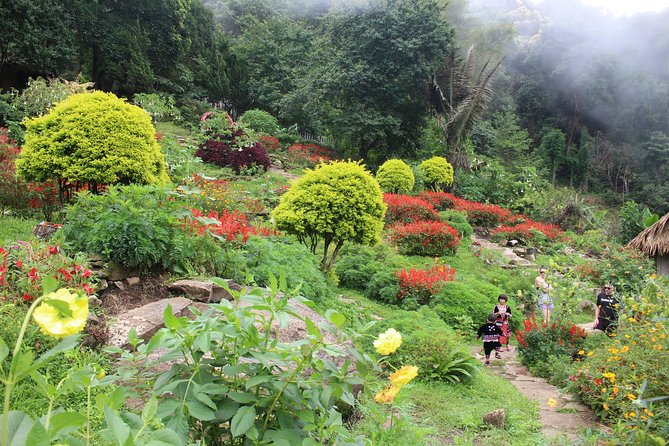 DON'T miss It ! Doi suthep temple+ Hmong village - Should You Book This Tour?