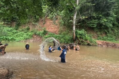 Elephant care program at CHIANGMAI ELEPHANT CARE - Mahout-style uniform: the small step that changes the whole tone