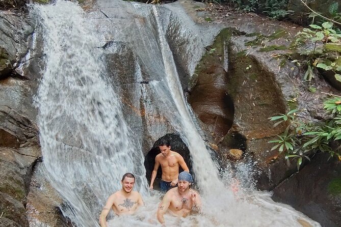 Elephant Experience and Hidden Jungle Waterfall Chiang Mai - Key highlights you’ll care about