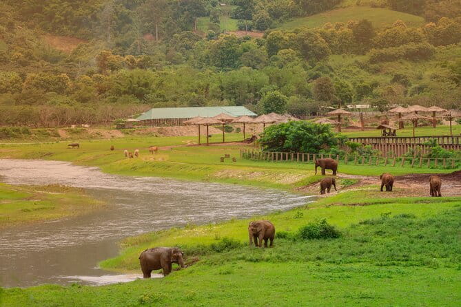 Elephant Sanctuary + Waterfall + Bamboo Rafting One Day Trip - Stop 2: Mae Wang Waterfall swim at a single-tier 20m drop
