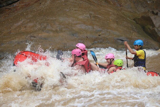Ethical Elephant Visit and White Water Rafting in Chiang Mai - Key Highlights (What Makes This Day Work)