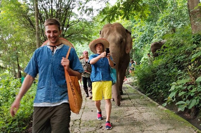 Ethical Elephant Visit and White Water Rafting in Chiang Mai - Group Size, Pickup, and How Smooth the Day Feels