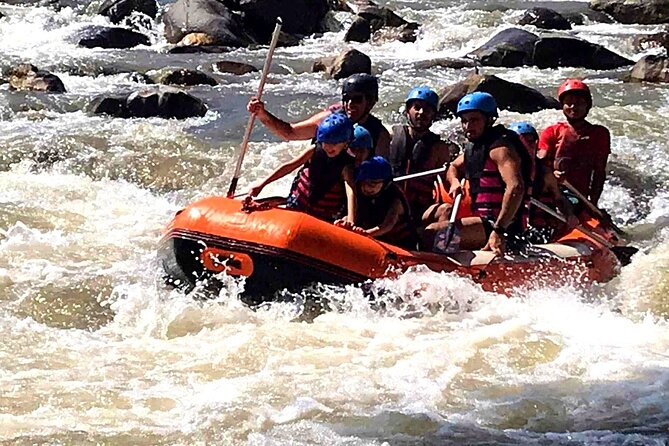 Ethical Elephant Visit and White Water Rafting in Chiang Mai - Price and Value: What $58.67 Really Buys You
