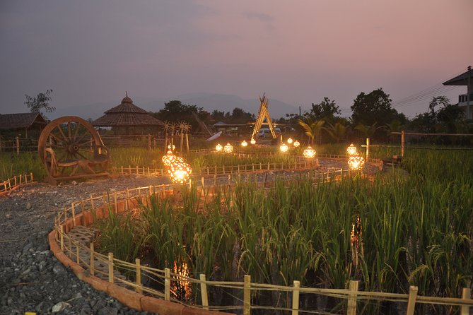 Evening Cooking Class in Organic Farm with Local Market Tour - Why This Evening Format Works in Chiang Mai