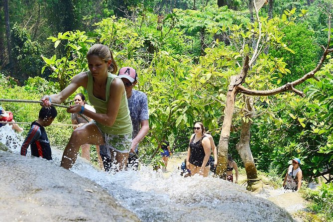Experience Elephant Sanctuary + Sticky Waterfall - Price and value: why $94.11 can be a good deal