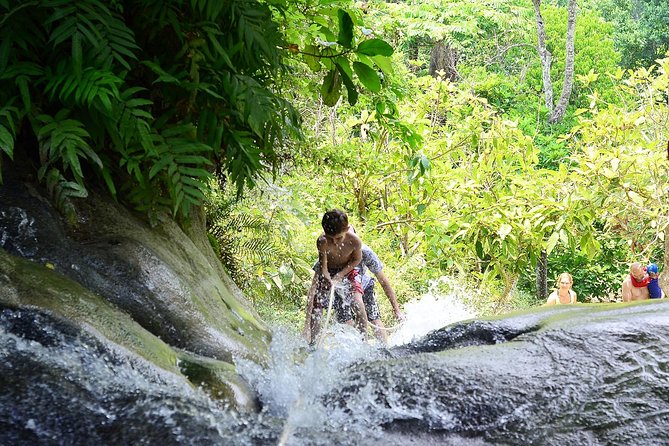 Experience Elephant Sanctuary + Sticky Waterfall - Who should book Elephant Sanctuary + Sticky Waterfall