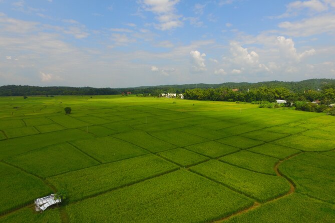 FIELDS OF GOLD Mountain Biking Tour Chiang Mai - A Morning MTB Escape With Real Chiang Mai Extras