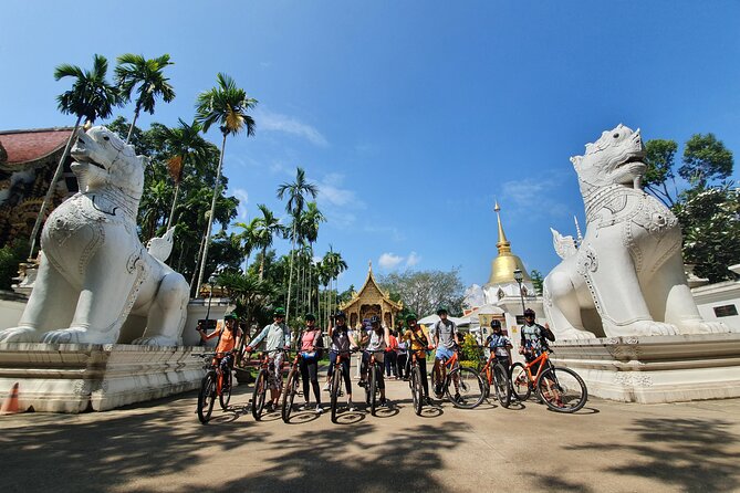 FIELDS OF GOLD Mountain Biking Tour Chiang Mai - Food, Drinks, and the Comfort Factor