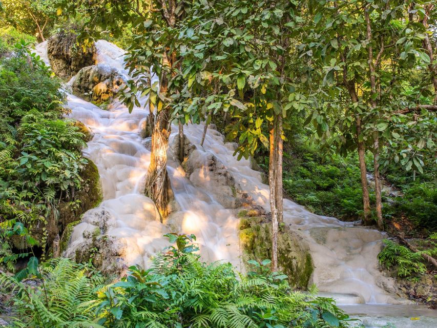 From Chiang Mai: Chiang Dao Cave Trekking Full-Day Tour - Lunch and Local Market Time: Fuel That Actually Tastes Like Northern Thailand