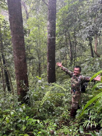 From Chiang Mai: Doi Saket Hiking Tour with Lunch - Village-to-Jungle Transition: How Forest Life Shows Up on the Trail