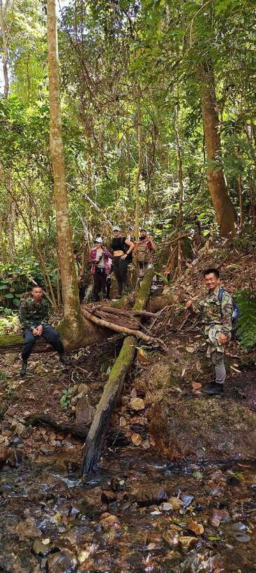 From Chiang Mai: Doi Saket Hiking Tour with Lunch - The Stream Crossings and Wooden Bridges That Turn It Into Real Hiking