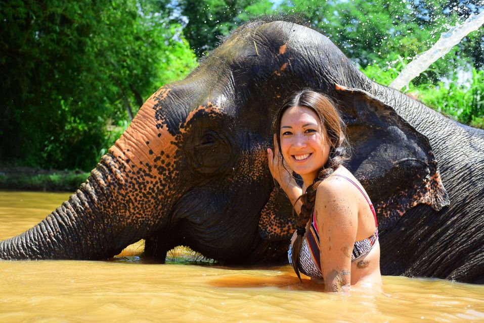 From Chiang Mai: Elephant Care Program and Nursery Tour - Group size and comfort: the trade-off to know