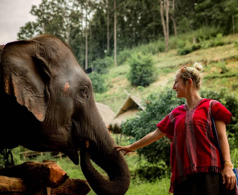 From Chiang Mai: Kerchor Eco Elephant Park Tour - Entering the park: the safety and care talk you actually need