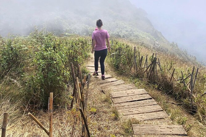 Full Day Car Hire with an English Speaking Driver in Chiang Mai - Doi Inthanon National Park and waterfalls: where “one more stop” can get intense