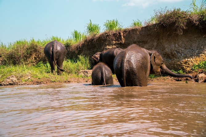 Full Day Chauffeur Driven Tuk Tuk Adventure in Chiang Mai including rafting - Mae Wang District: the countryside portion that actually feels like Thailand