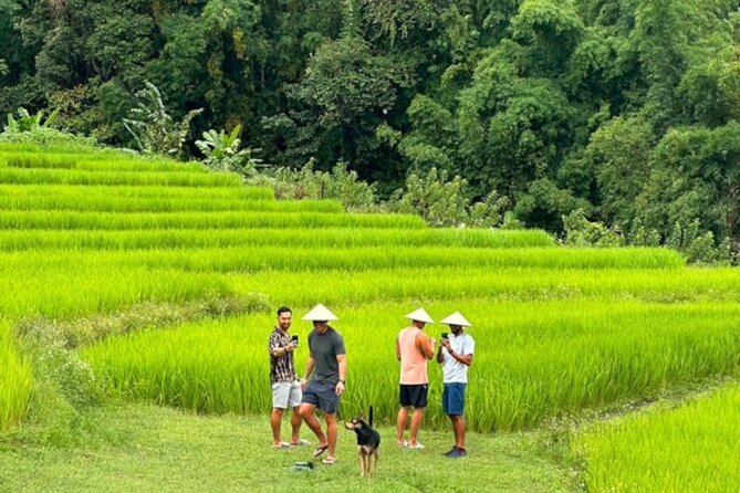 Full-Day Doi Inthanon National Park Tour with Trek and Pagodas - A 9.5-hour Doi Inthanon day: nature, villages, and pagodas in one loop