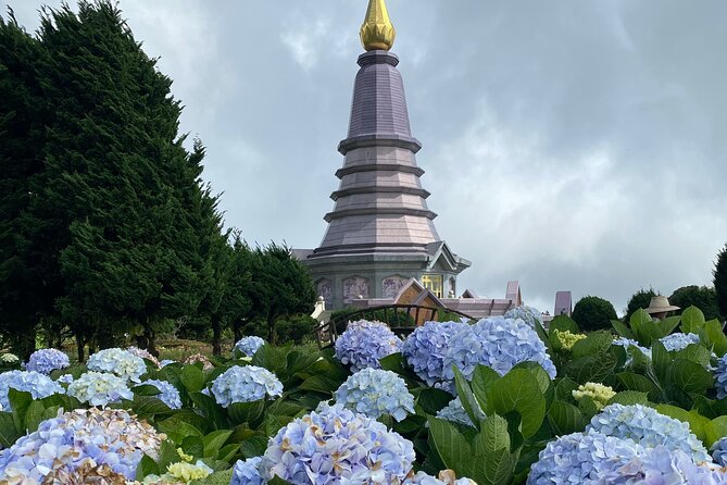 Full-Day Doi Inthanon National Park Tour with Trek and Pagodas - Hmong Market lunch: not just eating, it’s your food and souvenir checkpoint